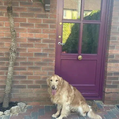 Fashionable Chic Townhouse In D4 Dublino